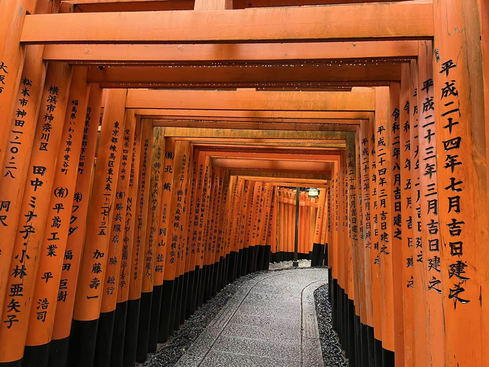 Japon Momiji & Sakura – Tokyo, Fuji, Kyoto, Osaka, 11 jours